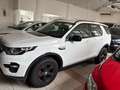 Land Rover Discovery Sport I 2015 2.0 td4 HSE Luxury awd auto Blanc - thumbnail 11