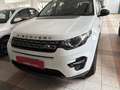 Land Rover Discovery Sport I 2015 2.0 td4 HSE Luxury awd auto Blanc - thumbnail 17