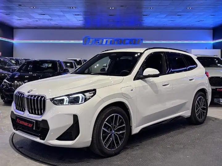 BMW X1 xDrive25e (U11) 2025