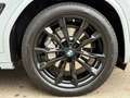 BMW X4 xD 30 d M Sport Pro Laser HeadUp Pano AHK 20" Grau - thumbnail 10