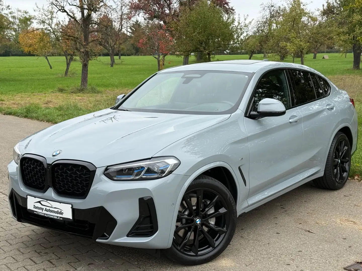 BMW X4 xD 30 d M Sport Pro Laser HeadUp Pano AHK 20" Grau - 1