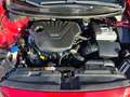 Kia Ceed / cee'd Dream Team Rojo - thumbnail 21