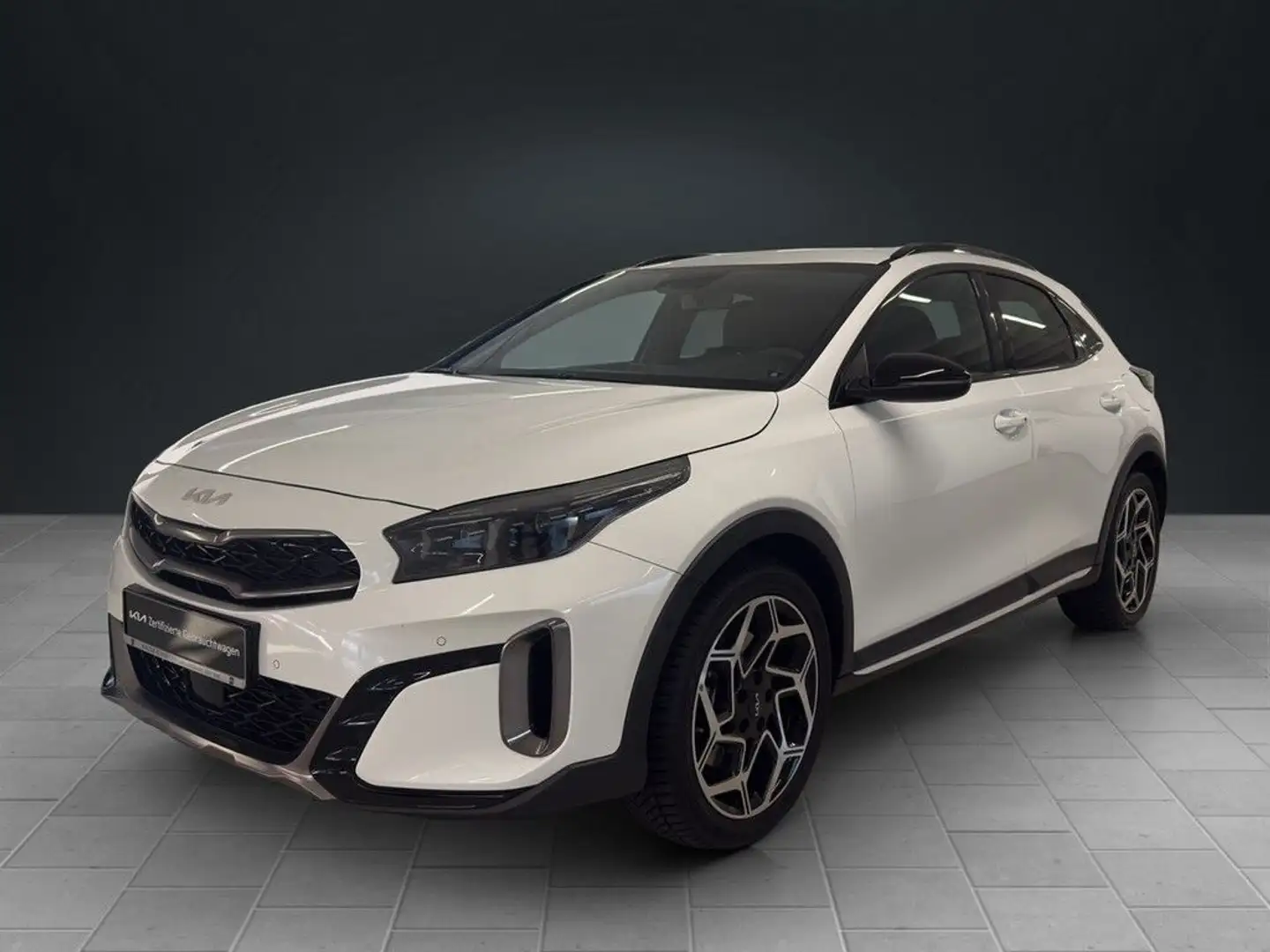 Kia XCeed 1.6T GT Line Navi Leder LED SHZ PDC JBL White - 2