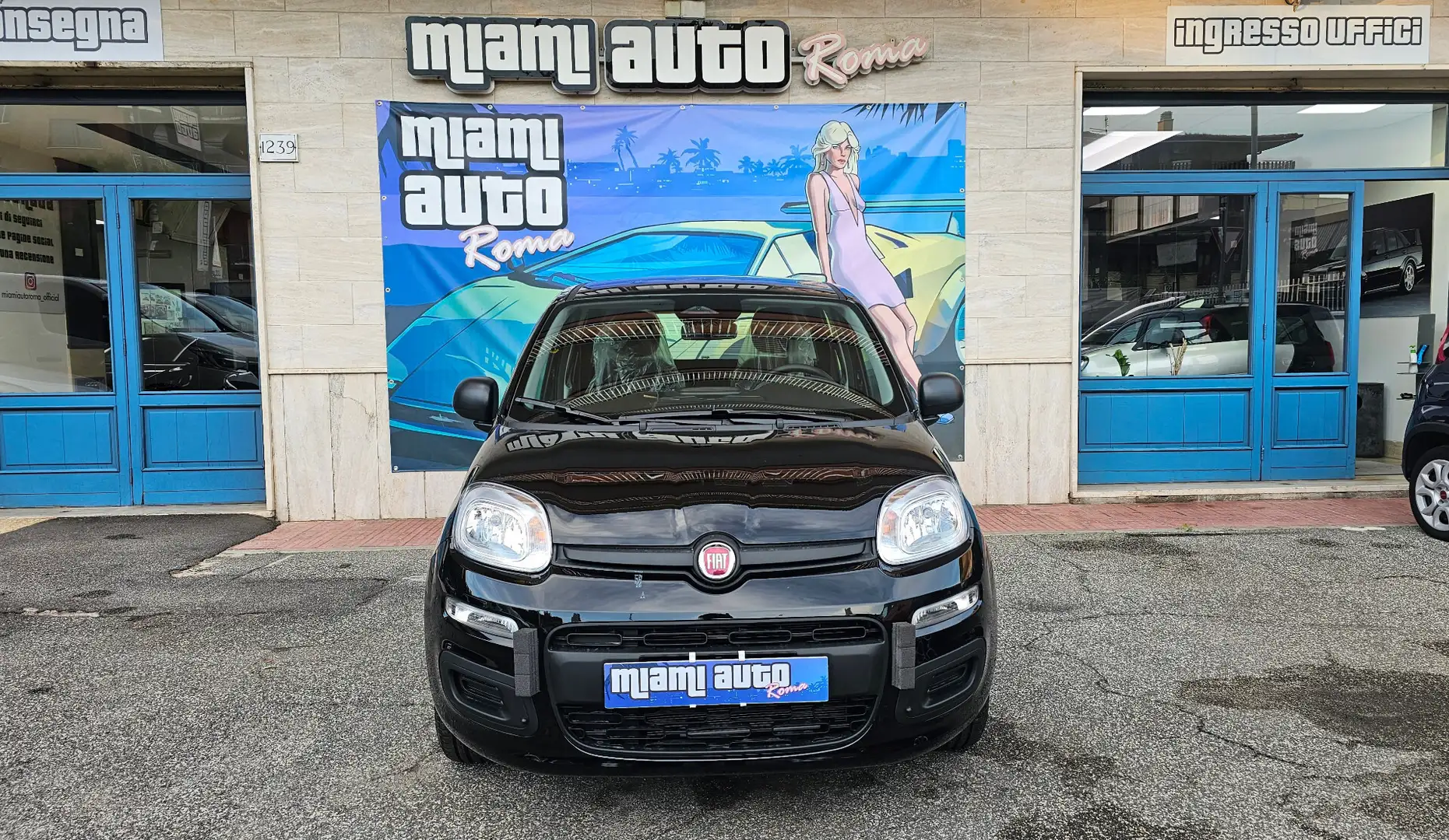Fiat Panda Panda 1.0 FireFly S&S Hybrid Pandina ICON KM0 REAL Nero - 1
