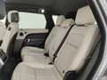Land Rover Range Rover Sport 3.0 tdV6 HSE 249cv auto!NAVI!CAR PLAY!PDC!TELECAME Gris - thumbnail 12