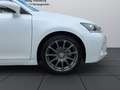 Lexus CT 200h Executive Line Weiß - thumbnail 25
