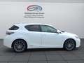 Lexus CT 200h Executive Line Weiß - thumbnail 3