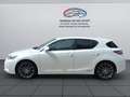 Lexus CT 200h Executive Line Weiß - thumbnail 6