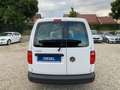 Volkswagen Caddy Maxi 2.0TDI KLIMA SITZHEIZUNG PDC EURO6 Weiß - thumbnail 10