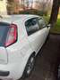 Fiat Punto Evo 5p 1.3 mjt Emotion s&s 95cv Bianco - thumbnail 3
