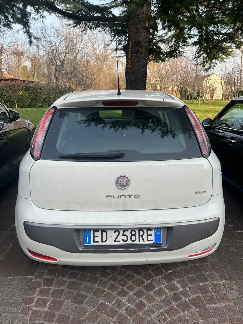 Fiat Punto Evo 5p 1.3 mjt Emotion s&s 95cv Bianco - 1