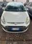 Fiat Punto Evo 5p 1.3 mjt Emotion s&s 95cv Bianco - thumbnail 4