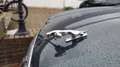 Jaguar XJ 3.2 V8 Executive , grotendeels bij Jaguardealer on Vert - thumbnail 13