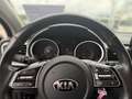 Kia Ceed / cee'd Kia ceed SW 1,0 TGDI ISG Silber Grau - thumbnail 14