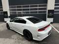 Dodge Charger **HELLCAT**6,2**V8**KOMPRESSOR**NEUWERTIG** Weiß - thumbnail 14