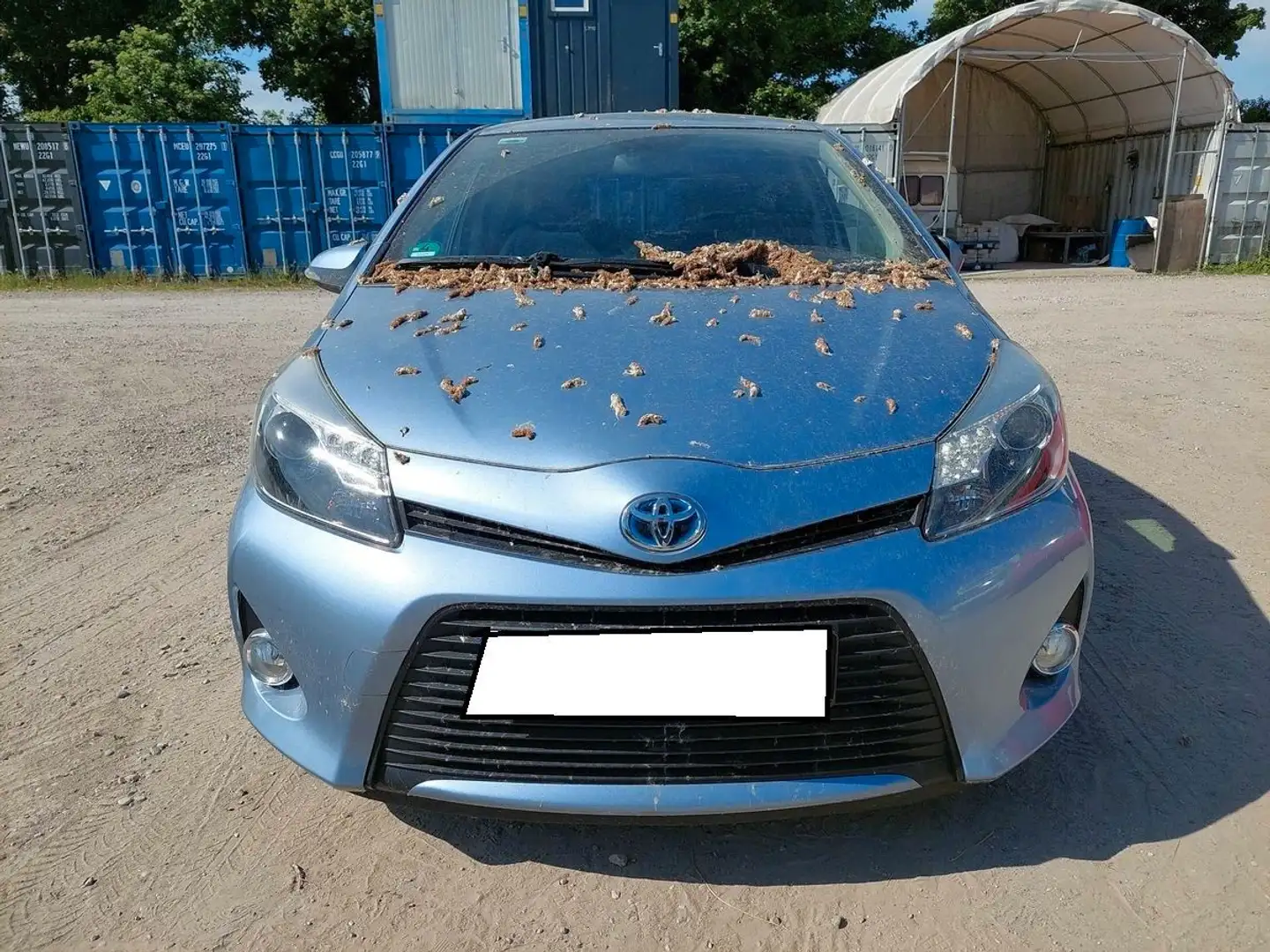 Toyota Yaris Hybrid Club Blue - 2