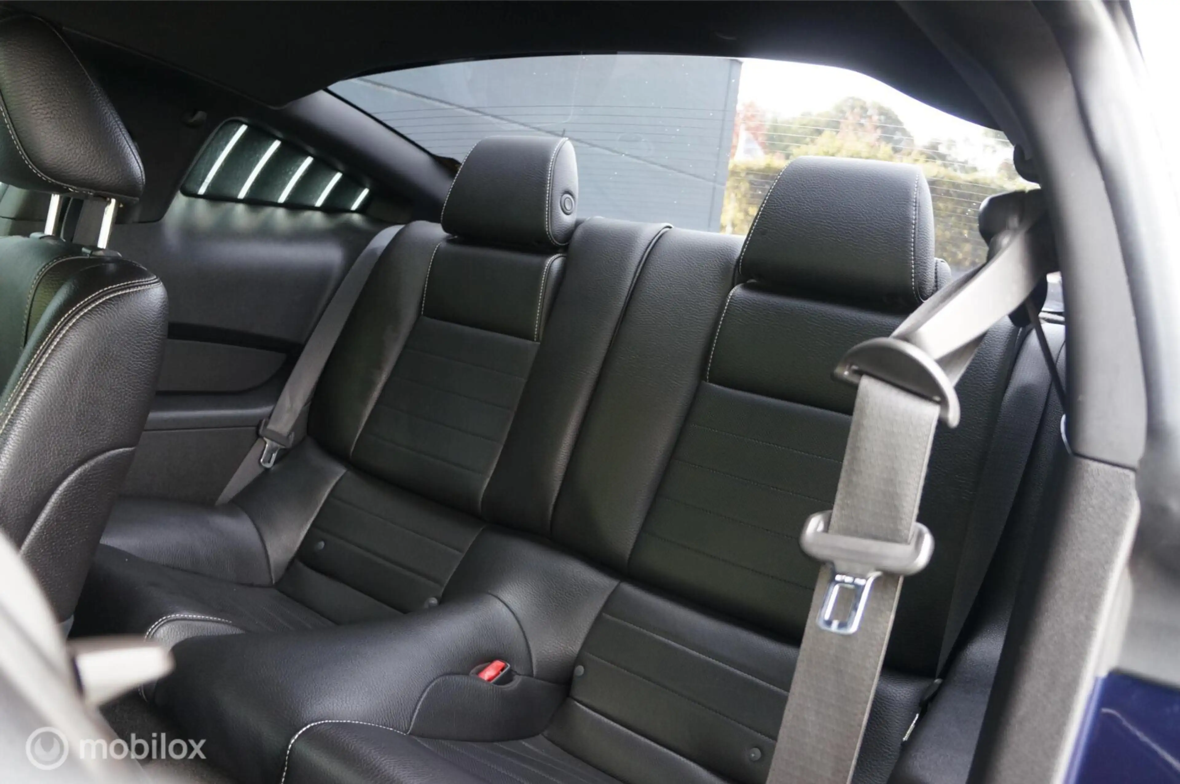 Ford Mustang USA 5.0 V8 GT Premium Manual Coyote Shaker Tof! — photo 9