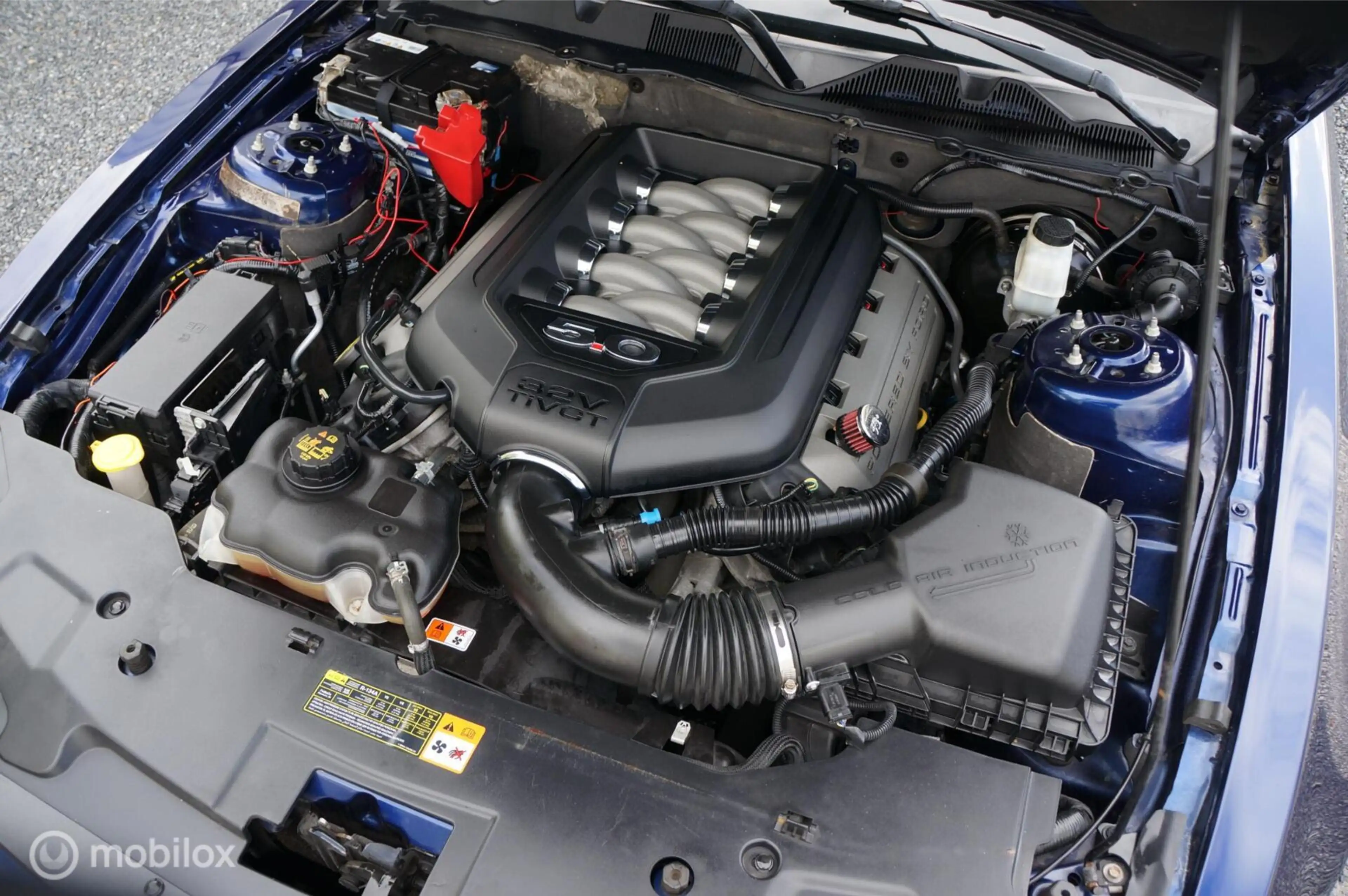 Ford Mustang USA 5.0 V8 GT Premium Manual Coyote Shaker Tof! — photo 21