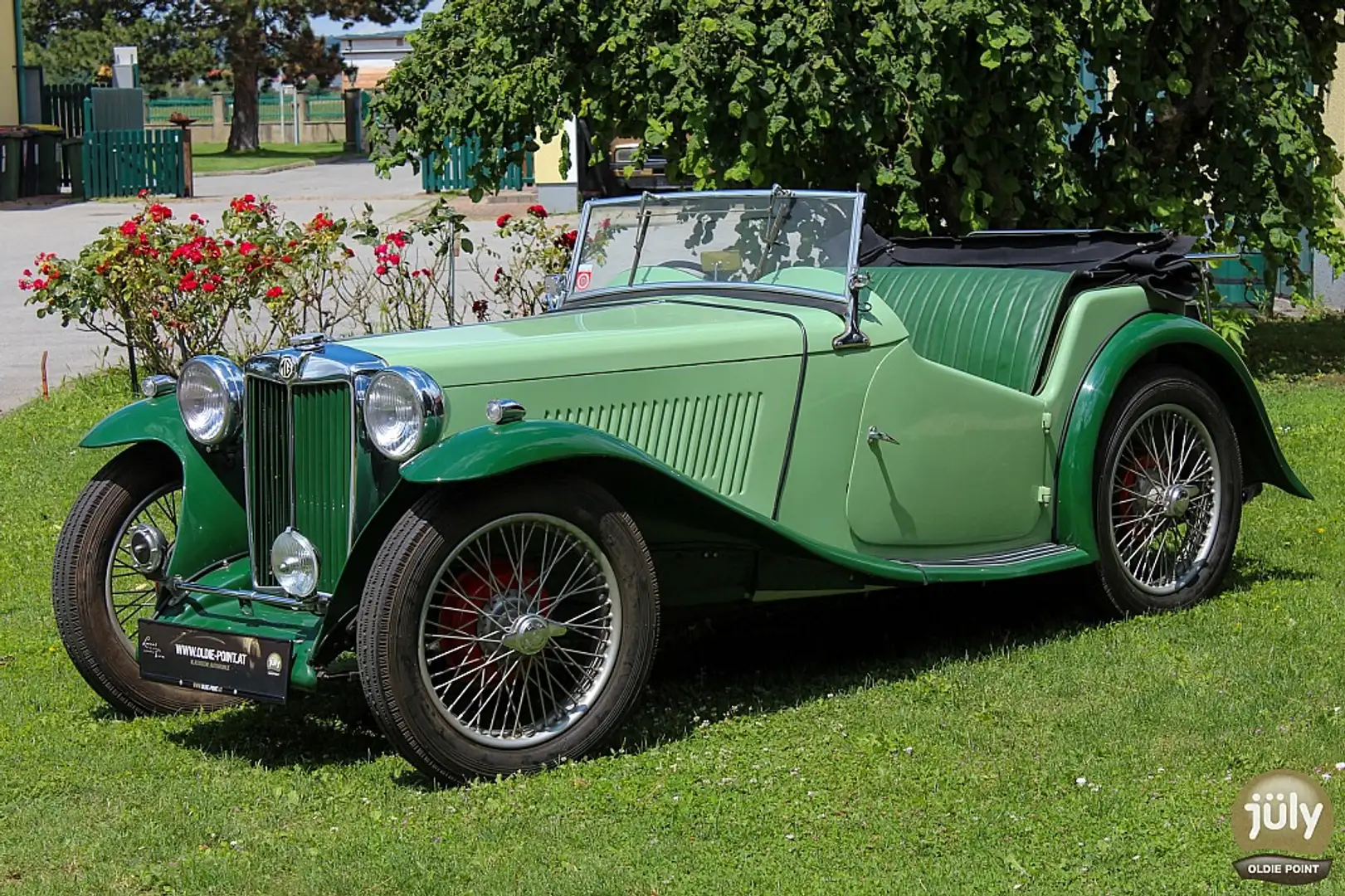 MG Ostali MG TA - Ein restaurierter Britischer Klassiker zelena - 1