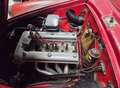 Alfa Romeo Giulia Rot - thumbnail 11