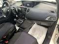 Lancia Ypsilon 1.0 hybrid Gold Plus s * VARIE COLORAZIONI * Blanco - thumbnail 16