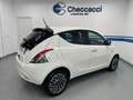 Lancia Ypsilon 1.0 hybrid Gold Plus s * VARIE COLORAZIONI * Bianco - thumbnail 10