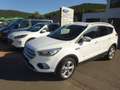 Ford Kuga Titanium Xenon Navi Kamera AHK Allrad Weiß - thumbnail 1