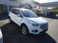 Ford Kuga Titanium Xenon Navi Kamera AHK Allrad Weiß - thumbnail 2