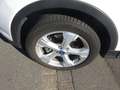 Ford Kuga Titanium Xenon Navi Kamera AHK Allrad Weiß - thumbnail 3