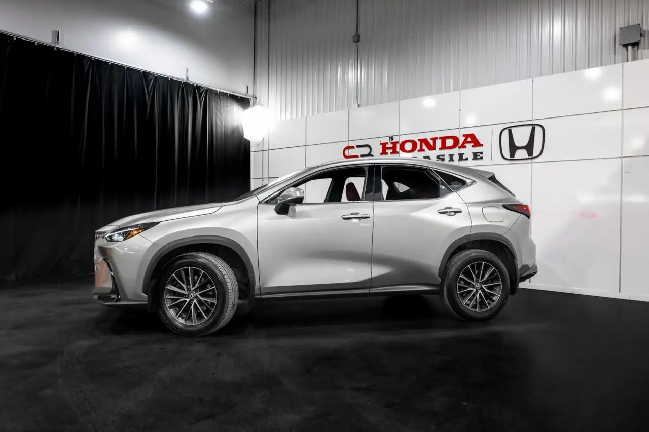 Lexus NX photo Lexus NX