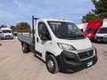Fiat Ducato 35 2.3 MJT 130CV PLM CASSONE FISSO Weiß - thumbnail 3
