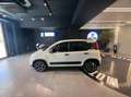 Fiat Panda 1.0 firefly hybrid City Life s&s 70cv 5p.ti Blanc - thumbnail 7