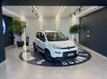 Fiat Panda 1.0 firefly hybrid City Life s&s 70cv 5p.ti Blanc - thumbnail 17