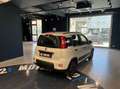 Fiat Panda 1.0 firefly hybrid City Life s&s 70cv 5p.ti Blanc - thumbnail 3