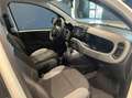 Fiat Panda 1.0 firefly hybrid City Life s&s 70cv 5p.ti Blanc - thumbnail 14