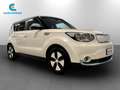 Kia Soul Eco Electric 110cv Bianco - thumbnail 3