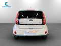 Kia Soul Eco Electric 110cv Bianco - thumbnail 5