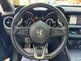 Alfa Romeo Stelvio Stelvio 2.0 T. Veloce Q4 280 CV, Tagl.Ufficiali Bleu - thumbnail 12