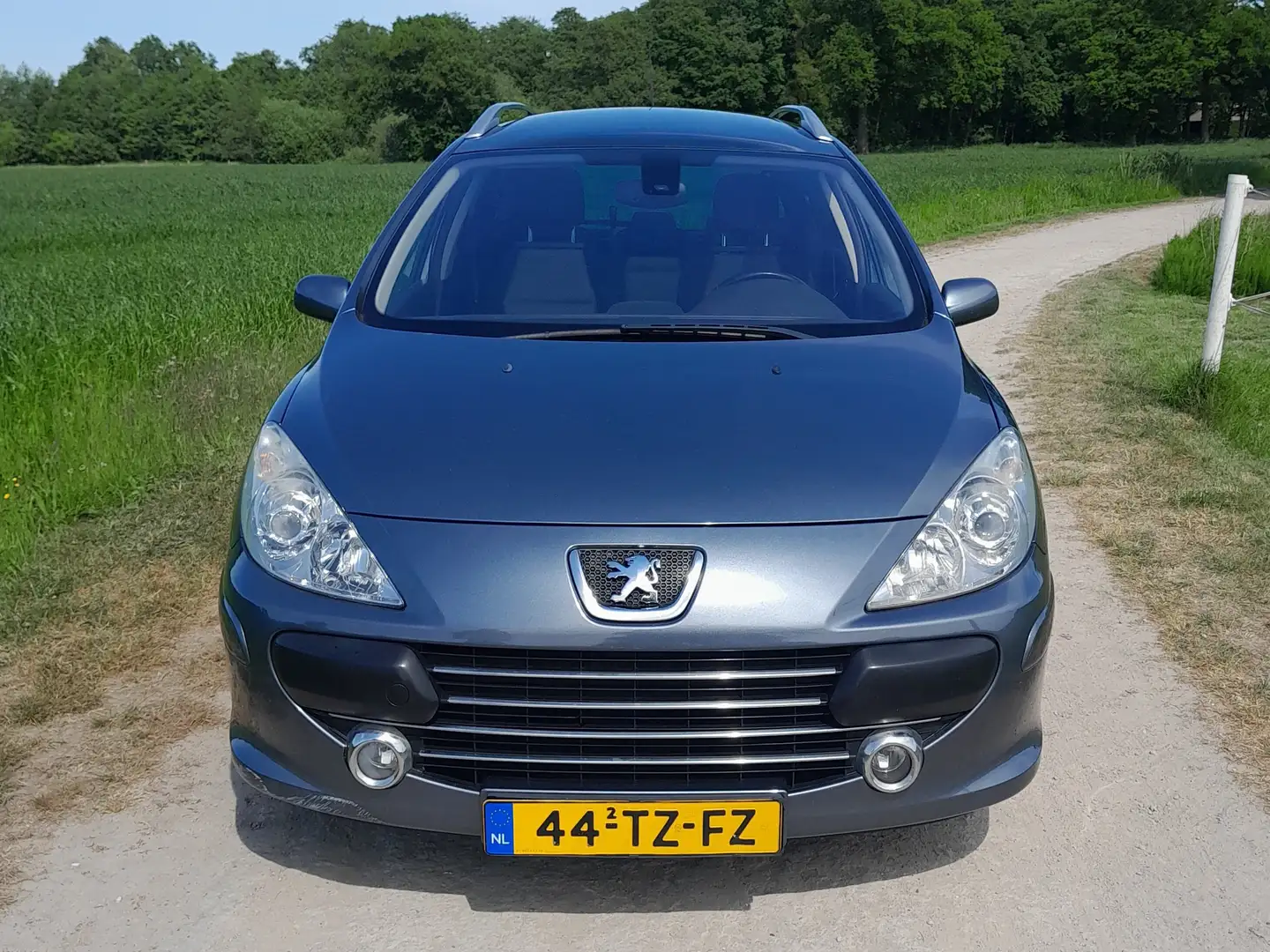 Peugeot 307 307 1.6-16V Premium Szürke - 1