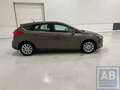 Ford Focus EcoBoost Titanium Braun - thumbnail 19