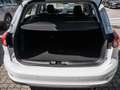 Ford Focus C & C 5W 1.5L ECOBLUE 95 Blanco - thumbnail 7