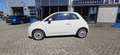 Fiat 500 1.2 Naked Wit - thumbnail 3