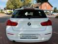 BMW 116 i Advantage|LED TFL|PDC|Sitzhzg|StartStop! Blanc - thumbnail 5
