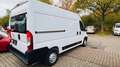 Opel Movano C Kasten HKa L2H2 3,5t Edition/ NR 32 Blanc - thumbnail 6