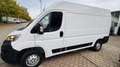 Opel Movano C Kasten HKa L2H2 3,5t Edition/ NR 32 Blanc - thumbnail 2