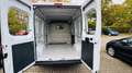 Opel Movano C Kasten HKa L2H2 3,5t Edition/ NR 32 Blanc - thumbnail 5