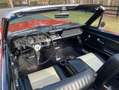 Ford V8 289ci - thumbnail 9
