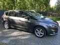 Ford S-Max S-Max 2.0 TDCi Titanium Grau - thumbnail 1