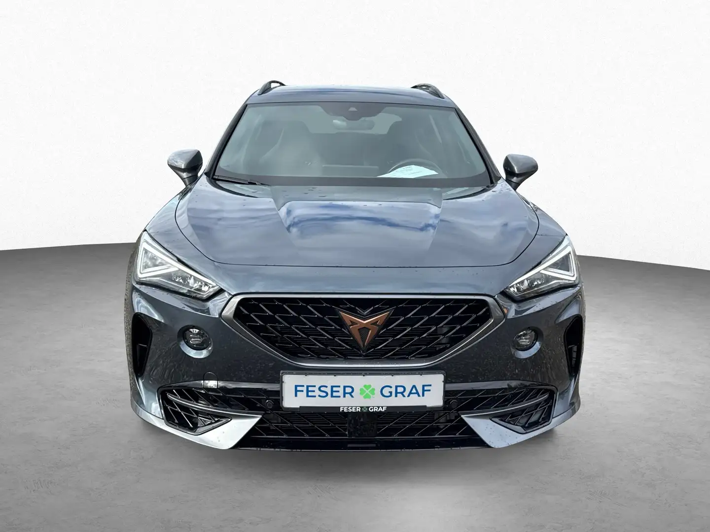 CUPRA Formentor VZ 2.0 TSI DSG 4Drive|RFK|Navi|ACC Gris - 2