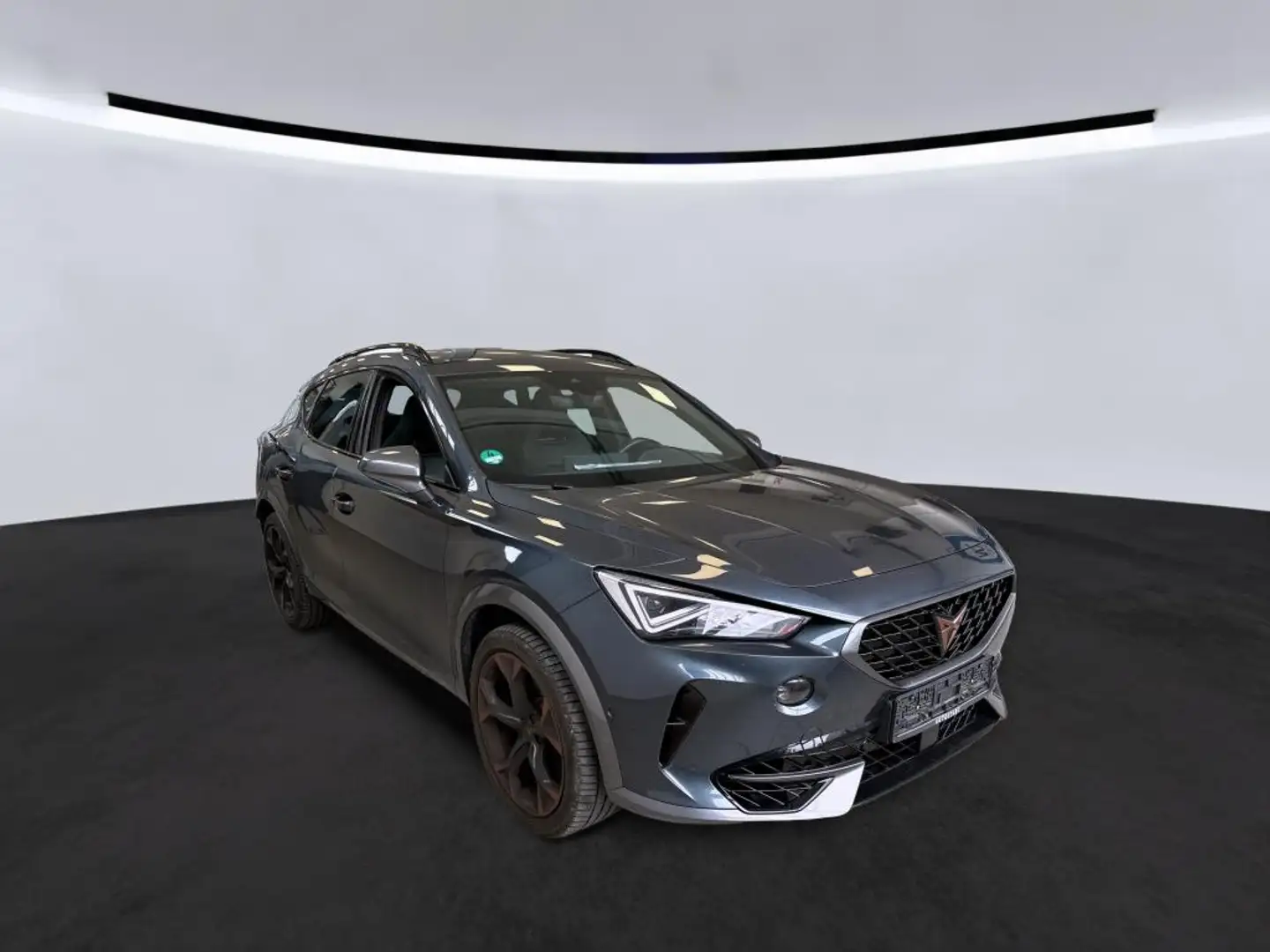 CUPRA Formentor VZ 2.0 TSI DSG 4Drive|RFK|Navi Grau - 2